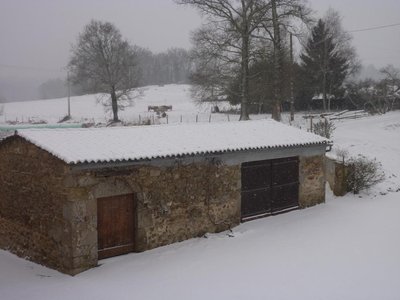 L'Hirondelle Chambres D'Hotes Saint-Mathieu 外观 照片